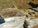 SouthScape Rock and Stone Sample Gallery: Tennessee Flag