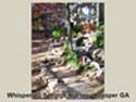 SouthScape Rock and Stone Sample Gallery: Rock Path
